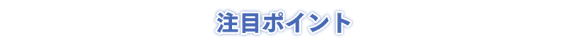 注目ポイント