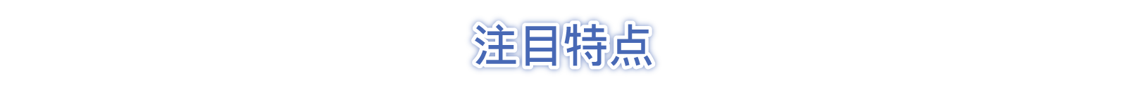 注目特点