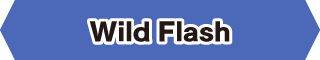 Wild Flash