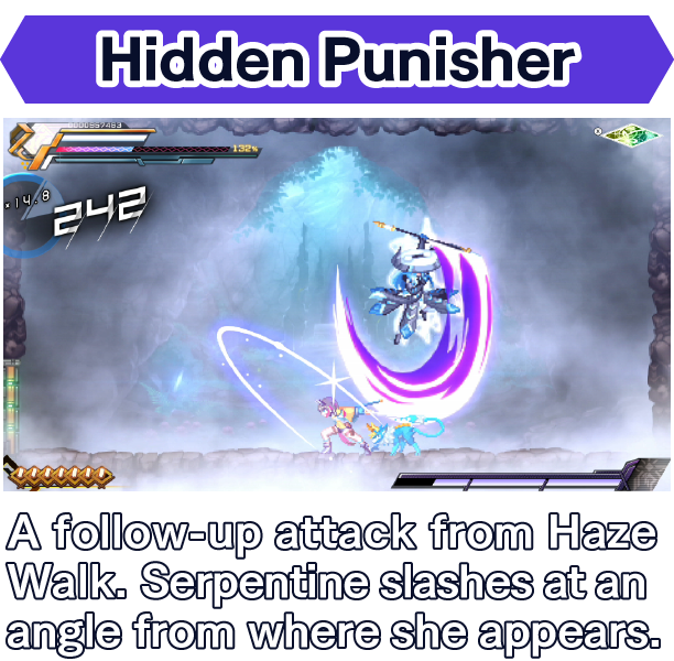 Hidden Punisher